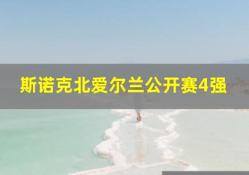 斯诺克北爱尔兰公开赛4强