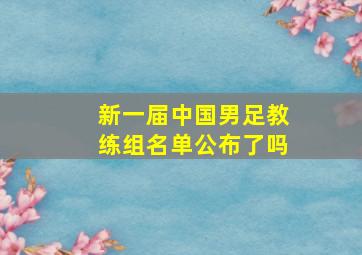 新一届中国男足教练组名单公布了吗