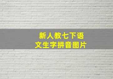 新人教七下语文生字拼音图片