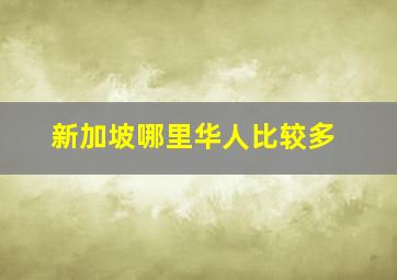 新加坡哪里华人比较多