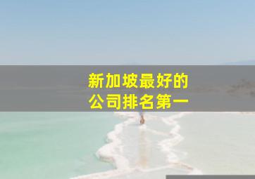 新加坡最好的公司排名第一