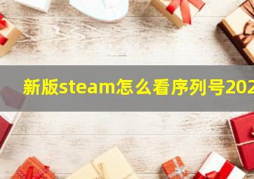 新版steam怎么看序列号2023