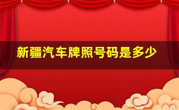 新疆汽车牌照号码是多少