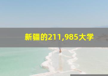 新疆的211,985大学