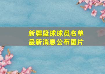 新疆篮球球员名单最新消息公布图片