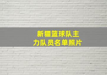 新疆篮球队主力队员名单照片