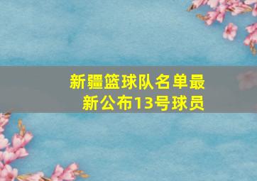 新疆篮球队名单最新公布13号球员