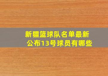 新疆篮球队名单最新公布13号球员有哪些