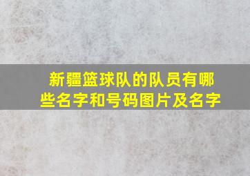 新疆篮球队的队员有哪些名字和号码图片及名字