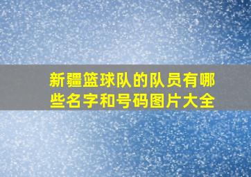 新疆篮球队的队员有哪些名字和号码图片大全