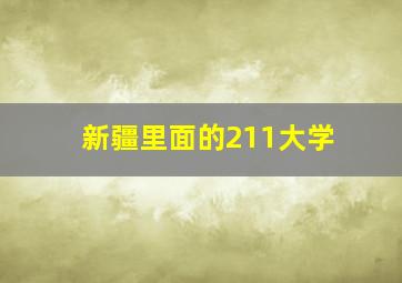 新疆里面的211大学