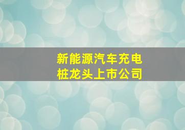 新能源汽车充电桩龙头上市公司