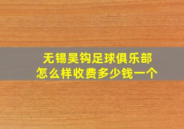 无锡吴钩足球俱乐部怎么样收费多少钱一个