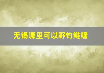 无锡哪里可以野钓鲢鳙