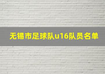 无锡市足球队u16队员名单