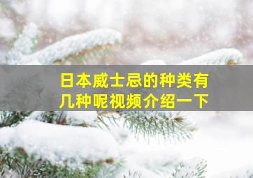 日本威士忌的种类有几种呢视频介绍一下