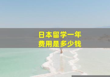 日本留学一年费用是多少钱