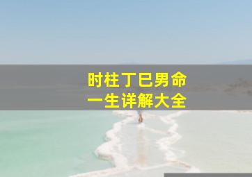 时柱丁巳男命一生详解大全