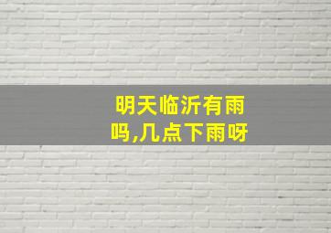 明天临沂有雨吗,几点下雨呀