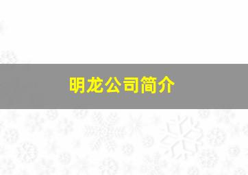 明龙公司简介