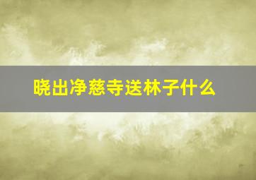 晓出净慈寺送林子什么