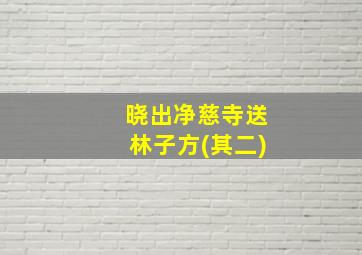 晓出净慈寺送林子方(其二)