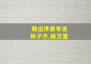 晓出净慈寺送林子方,杨万里