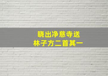 晓出净慈寺送林子方二首其一