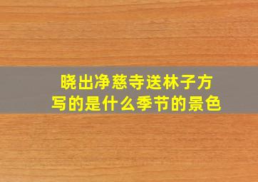 晓出净慈寺送林子方写的是什么季节的景色