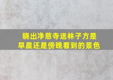 晓出净慈寺送林子方是早晨还是傍晚看到的景色