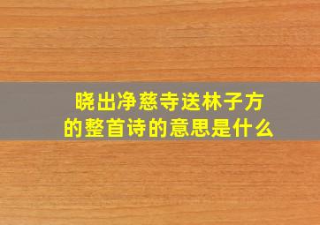 晓出净慈寺送林子方的整首诗的意思是什么