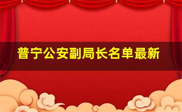 普宁公安副局长名单最新