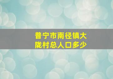 普宁市南径镇大陇村总人口多少