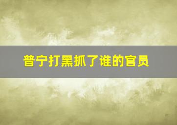 普宁打黑抓了谁的官员