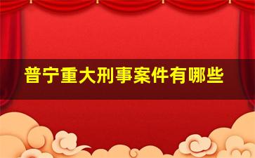 普宁重大刑事案件有哪些