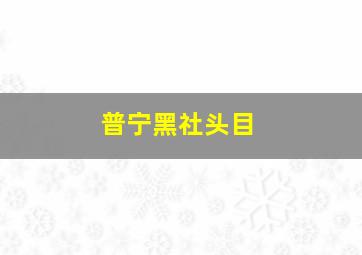 普宁黑社头目