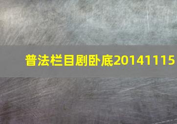 普法栏目剧卧底20141115