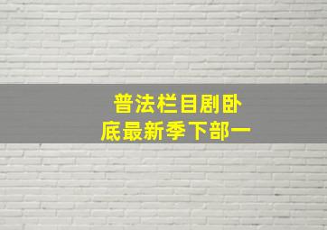 普法栏目剧卧底最新季下部一