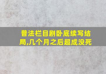 普法栏目剧卧底续写结局,几个月之后超成没死