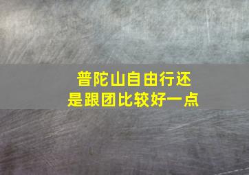 普陀山自由行还是跟团比较好一点