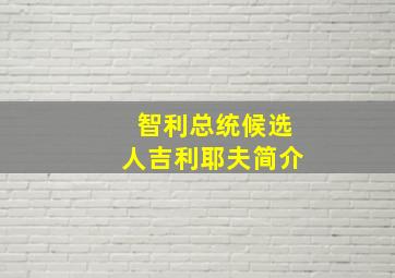 智利总统候选人吉利耶夫简介