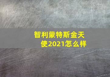 智利蒙特斯金天使2021怎么样