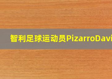 智利足球运动员PizarroDavid