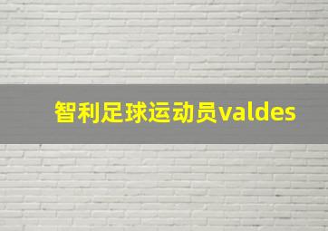 智利足球运动员valdes