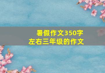 暑假作文350字左右三年级的作文