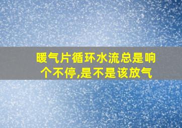 暖气片循环水流总是响个不停,是不是该放气