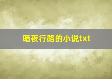 暗夜行路的小说txt