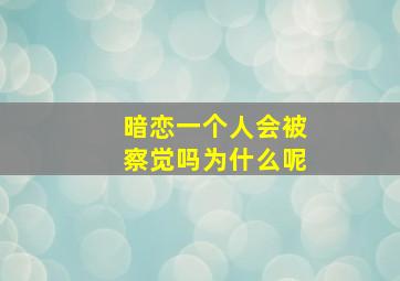 暗恋一个人会被察觉吗为什么呢