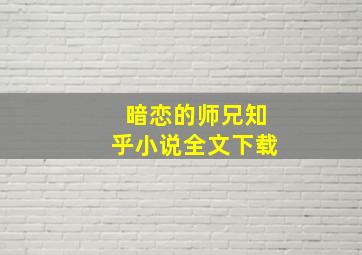 暗恋的师兄知乎小说全文下载