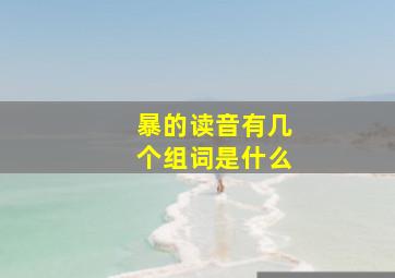 暴的读音有几个组词是什么